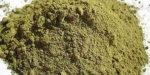 Tulsi Powder