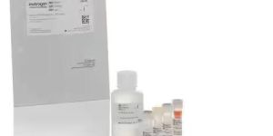 Invitrogen Qubit Protein and Protein Broad Range (BR) Assay Kits