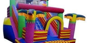 Coconut Simple Slide Bouncy