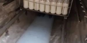 Industrial Bottle Sterilizer