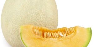 Muskmelon