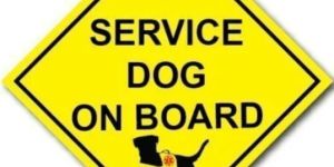 Reflective Vinyl Signage
