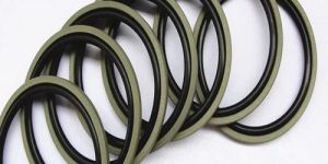 PTFE Piston Seal