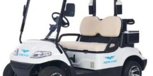 2 Seater White Electric Golf Cart