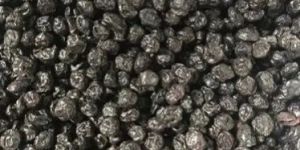 Dried Blueberries