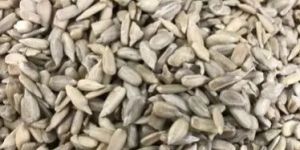 Sunflower Seeds