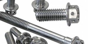 Stainless Steel Hexagonal Bolt Nut