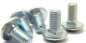 Carriage Bolts