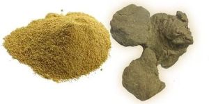 Moringa Seed Cake Powder