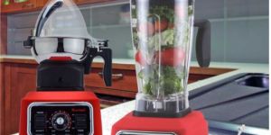 1500W Sumeet Health Processor