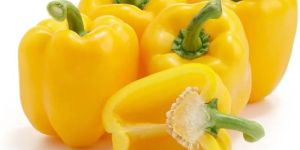 Fresh Yellow Capsicum