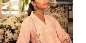 Pakistani Fancy Suits