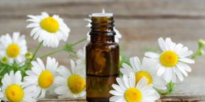 Chamomile Essential Oil
