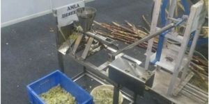 Amla Shredding Machine