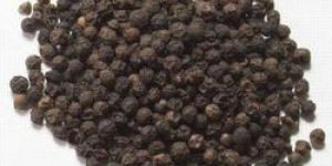 Black Pepper Seeds