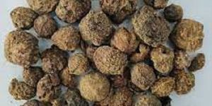 Dried Whole Amla
