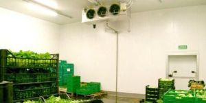 Vegetable Cold Storage
