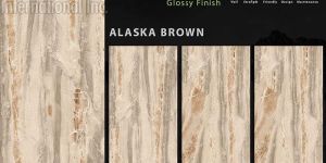 600x1200 mm Glossy Finish Collection GVT/PGVT Tiles