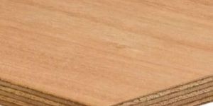 Deodar Plywood Sheet