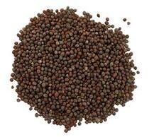 Brown Mustard Seeds