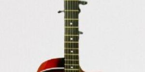 Acoustic Guitar