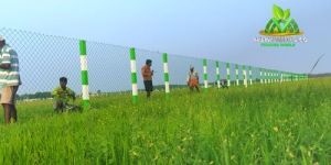 Galvanized Iron Chain Link Fencing