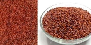 Red Millets