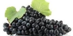 Fresh Grapes