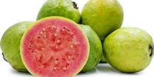 Fresh Red Guava