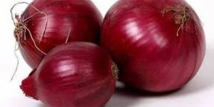 Fresh Red Onion