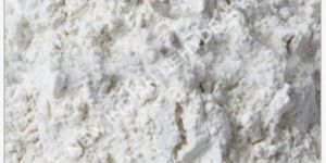 Dehydrated White Onion Powder