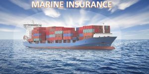 Marine Insurance Services