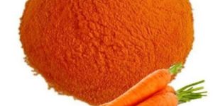 Dehydrated Carrot Powder