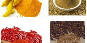Indian Spices