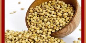 Coriander Seeds