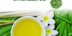 Citronella Essential Oil