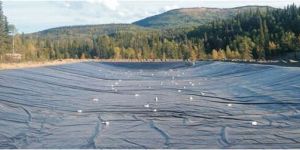 SYNTHETIC GEOMEMBRANES