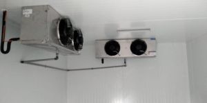 Dry Fruits Cold Storage Room