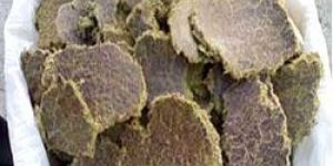 Cattle Feed Supplements