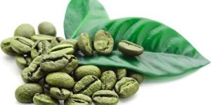 Green Coffee Beans