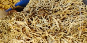 Small Dried Anchovies Fish