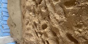 Sterilized Fish Meal