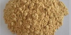 Soy Isoflavone Extract