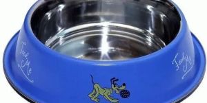 Dog Bowl