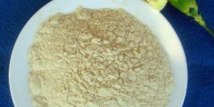 Isolated Soy Protein