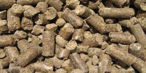 Bio Fertilizer