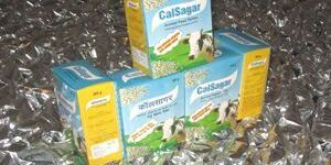 Calsagar Animal Health