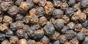 Black Pepper Seeds