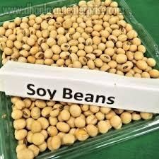Soybean Seeds