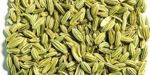 Organic Fennel Seed